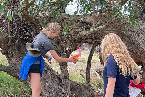 Orienteering photo