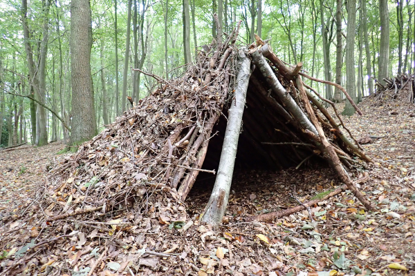 Bushcraft one-to-one tuition