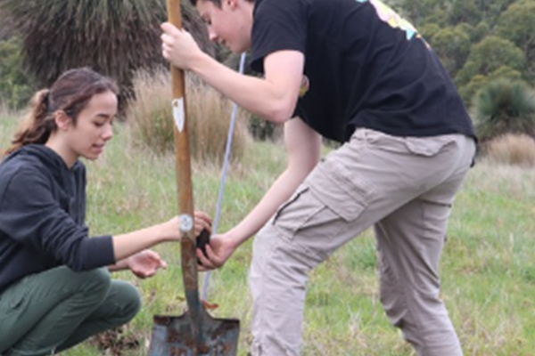 Tree Planting photo